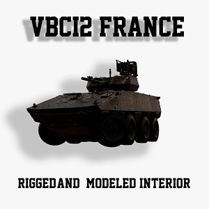 3D VBCI-2 FRANCE model