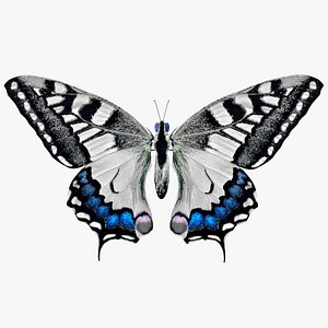 3D butterfly