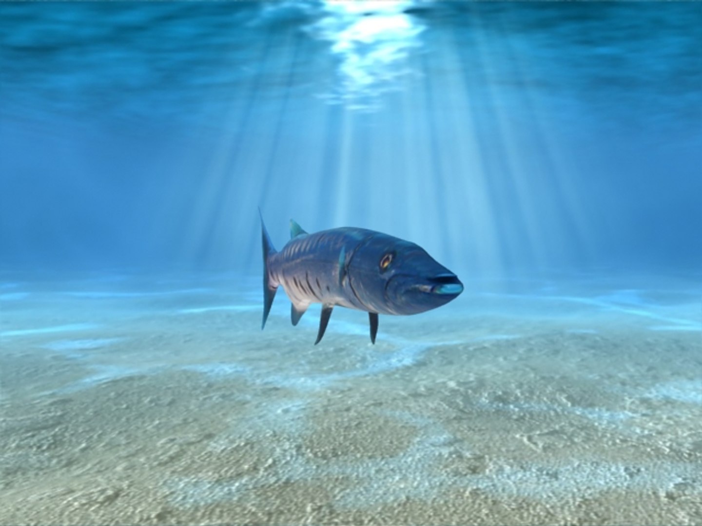 3ds max barracuda fish https://p.turbosquid.com/ts-thumb/04/0NjOwD/4FX0KYGB/3/jpg/1325257329/1920x1080/fit_q87/3329ca58cd3a946ae1b9a16745d4faca0c566355/3.jpg