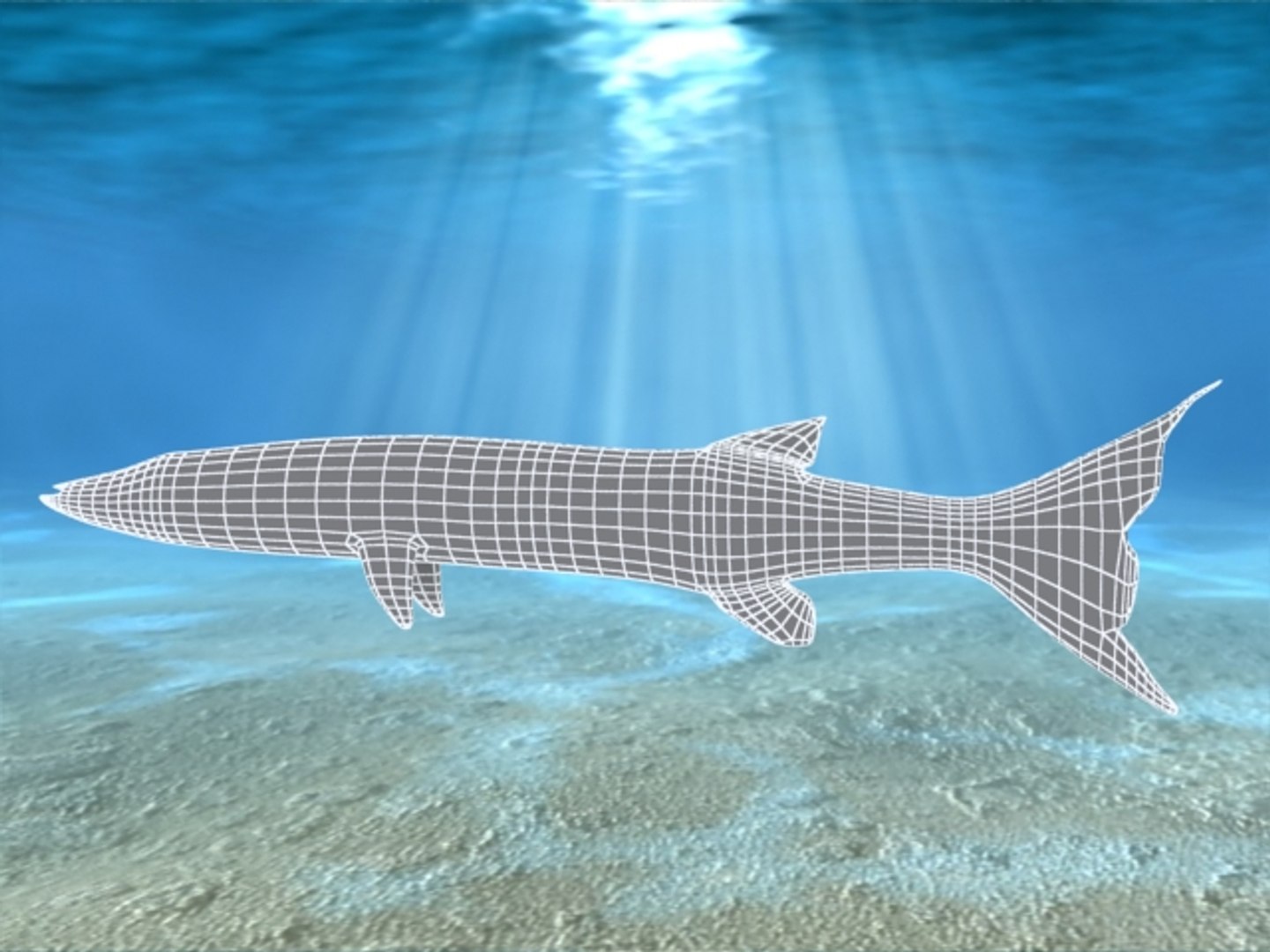 3ds max barracuda fish https://p.turbosquid.com/ts-thumb/04/0NjOwD/kD7fdzIN/5/jpg/1325257249/1920x1080/fit_q87/1dfe1277f87fb75cfeb9fb26a05a9c71d2a31bc7/5.jpg