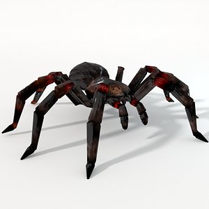 3D tarantula