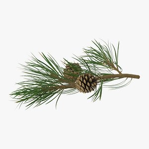 pine tree 02 3d model