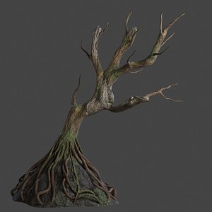 3D model old tree