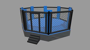 Octagon MMA