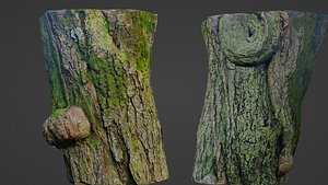 Mossy tree 3D model