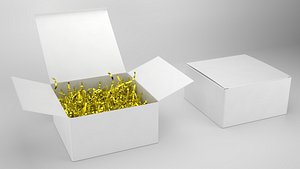 Crinkle Paper Gift Box PBR 5