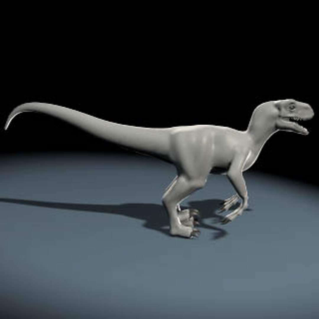 Raptor Dinosaur Velociraptor 3d Model