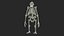 3D Gorilla Skeleton Bone Structure model