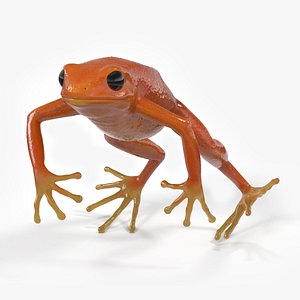 Mantella Frog Jumping model