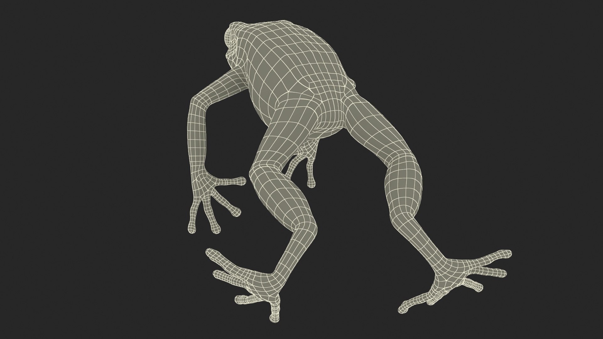 Mantella Frog Jumping Model - TurboSquid 2279299