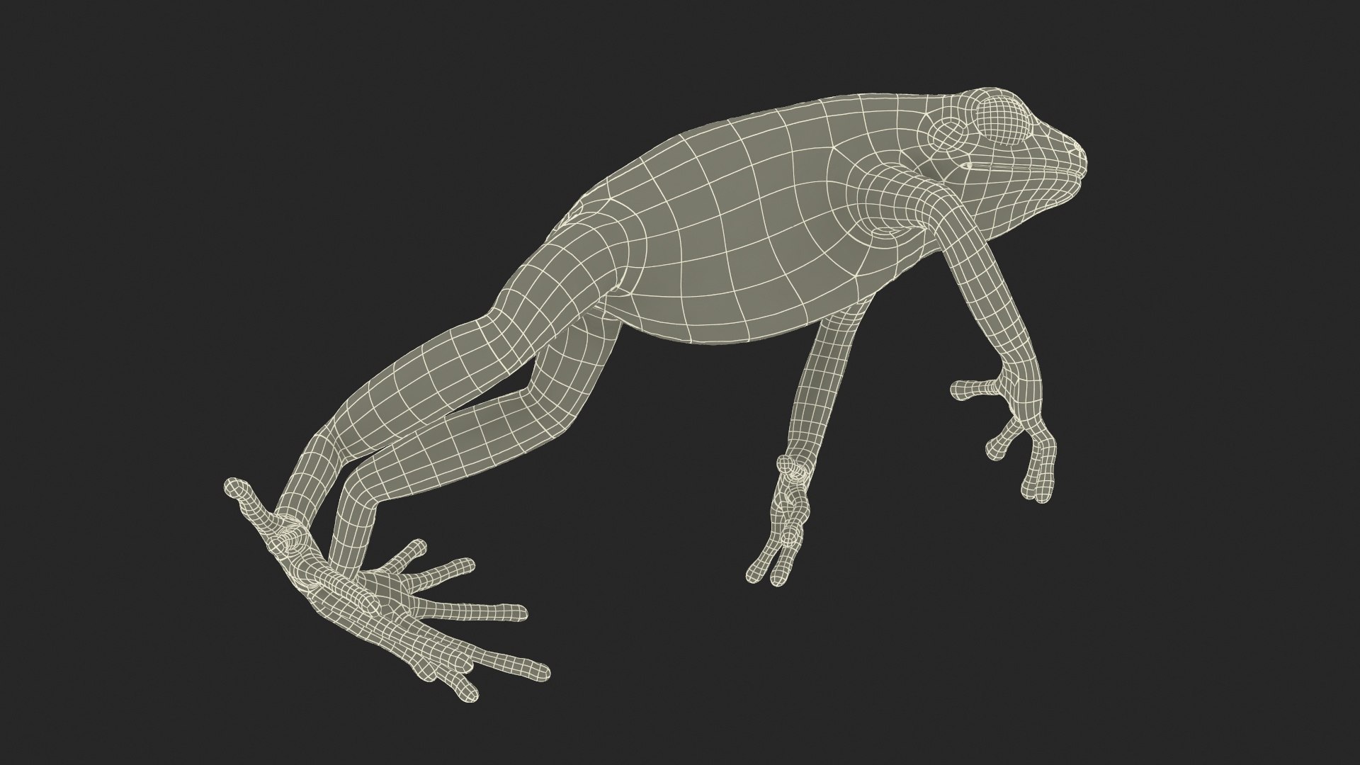 Mantella Frog Jumping Model - TurboSquid 2279299