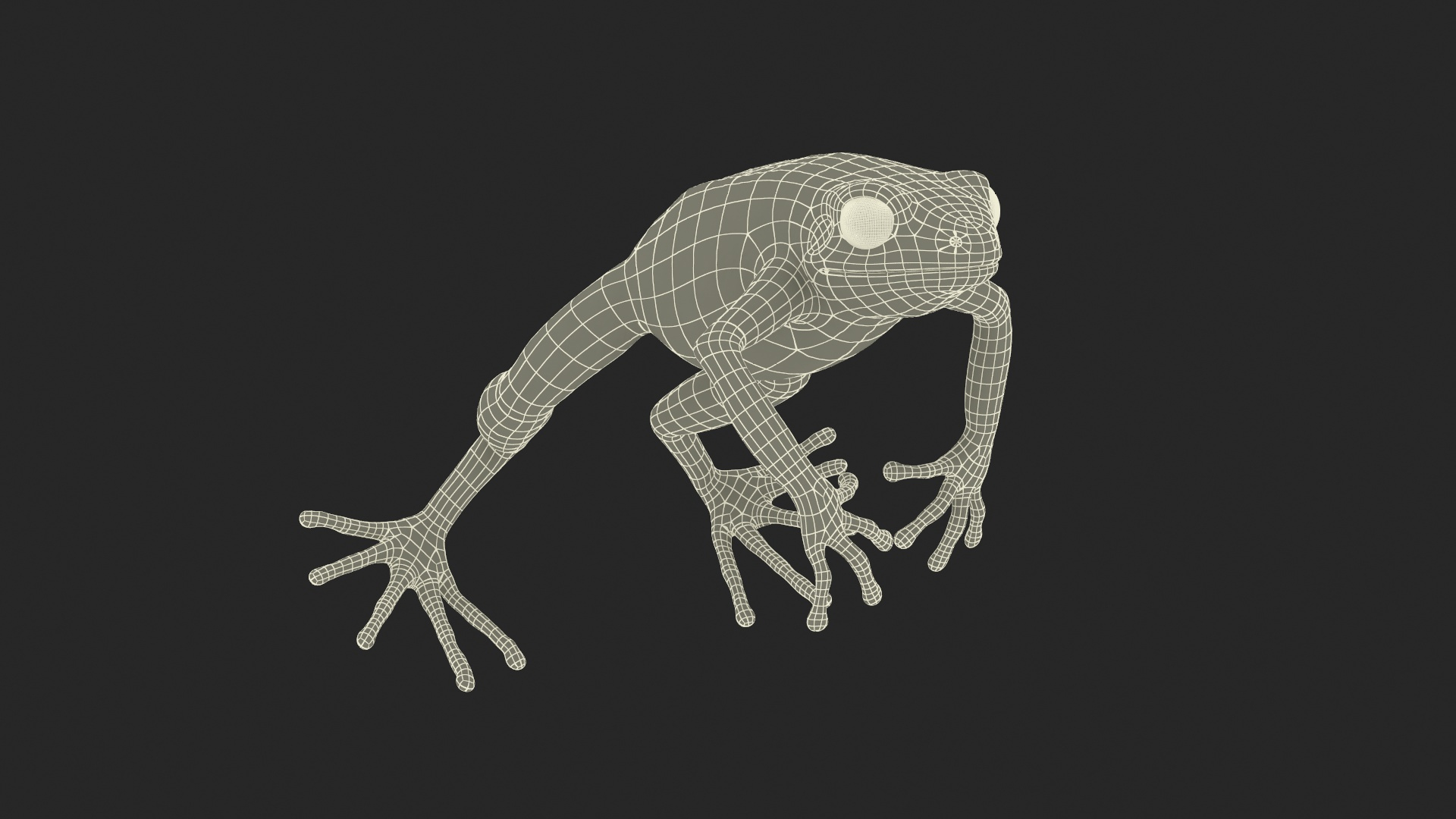 Mantella Frog Jumping Model - TurboSquid 2279299