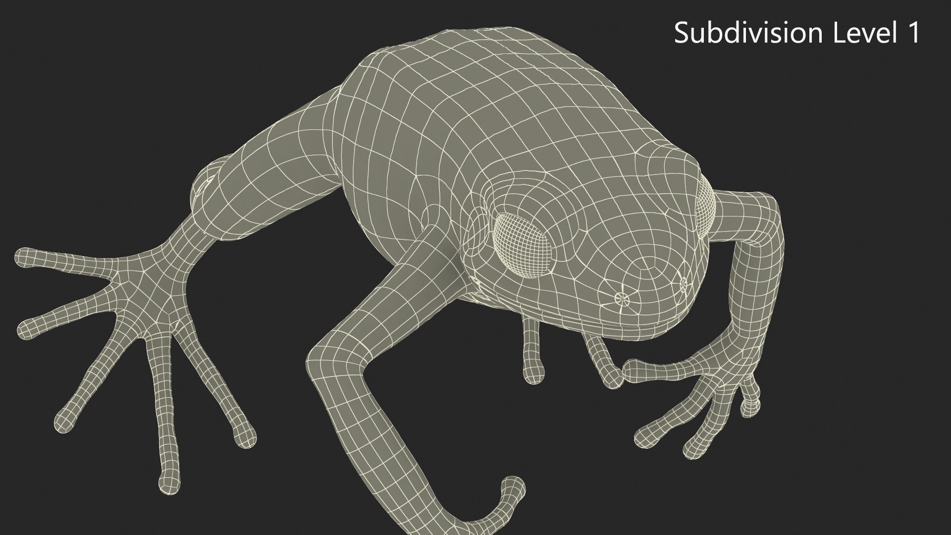 Mantella Frog Jumping Model - TurboSquid 2279299