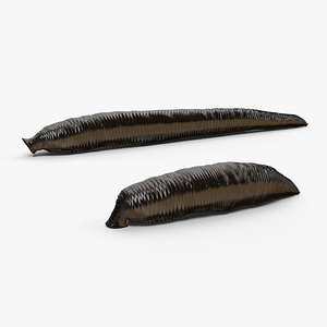3D Aquatic Leech Crawling Animated Rigged For Blender