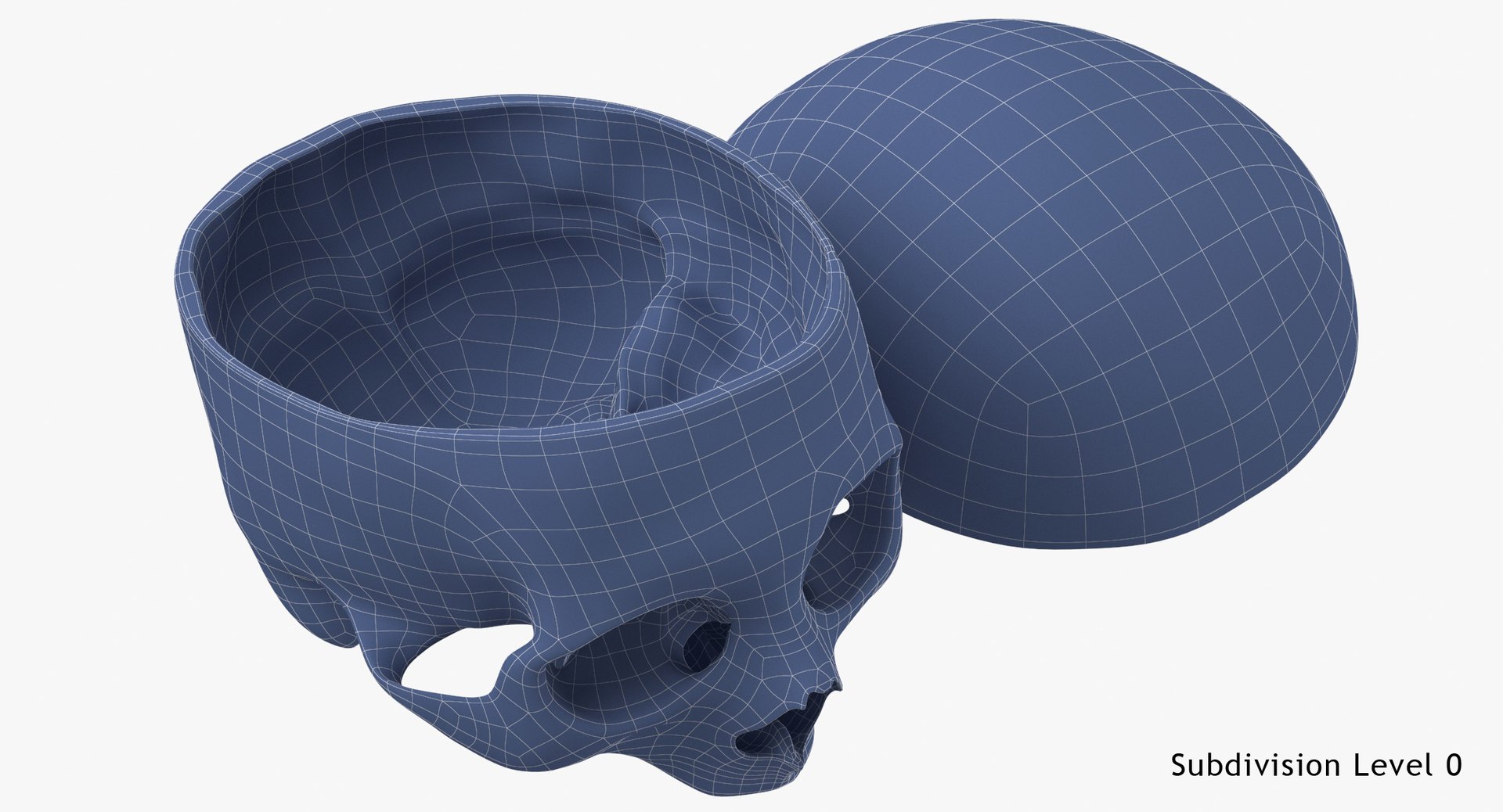3D human skull cranial 02 https://p.turbosquid.com/ts-thumb/05/7eD8xo/53QuCXvg/human_skull_cranial_02_cut_with_piece_white_pose_04_wsubdiv0_0001/jpg/1588936070/1920x1080/fit_q87/4cd3e3b9b58cbb12b9a47f170478ab5486cfceb6/human_skull_cranial_02_cut_with_piece_white_pose_04_wsubdiv0_0001.jpg