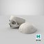 Crânio Humano Real Cranial 02 Corte Com Pedaço Branco Pose 04