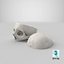 Crânio Humano Real Cranial 02 Corte Com Pedaço Branco Pose 04