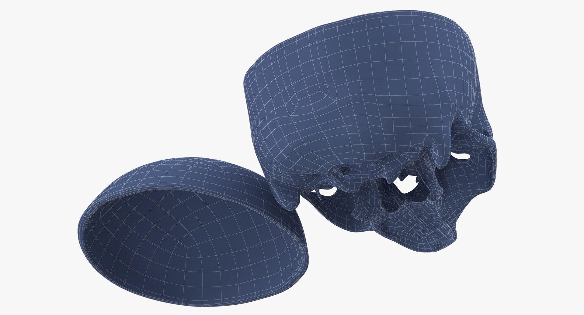 3D human skull cranial 02 https://p.turbosquid.com/ts-thumb/05/7eD8xo/UCVIVXfU/human_skull_cranial_02_cut_with_piece_white_pose_04_wireframe_0010/jpg/1588936070/1920x1080/fit_q87/21cd5ba1f4f0c06861d51f1e99f50dd2b83e2108/human_skull_cranial_02_cut_with_piece_white_pose_04_wireframe_0010.jpg