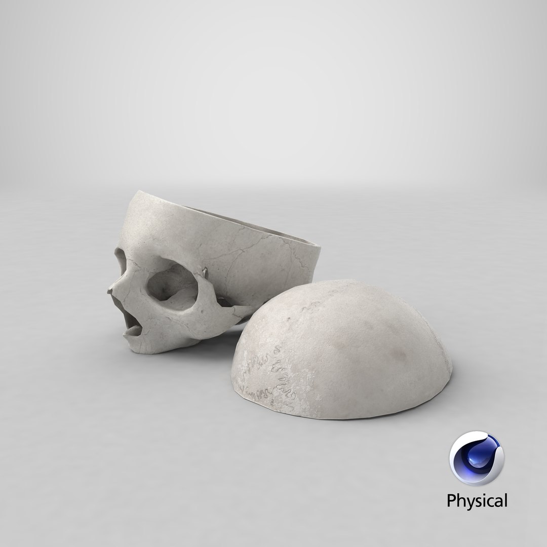 3D human skull cranial 02 https://p.turbosquid.com/ts-thumb/05/7eD8xo/rfXWbeFM/stemcell_cinema_4d_physical_render/png/1592580396/1920x1080/fit_q87/da849e8a58223345d55f517d9fe4b2767cf67814/stemcell_cinema_4d_physical_render.jpg