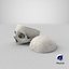 Crânio Humano Real Cranial 02 Corte Com Pedaço Branco Pose 04