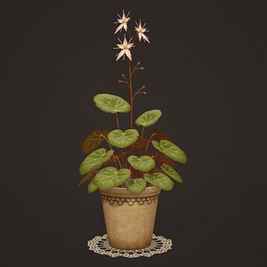 House Plant - PBR Game Ready 3D model
