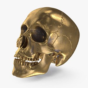 bronze human skull 3D model
