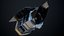Nancy Grace Roman Space Telescope