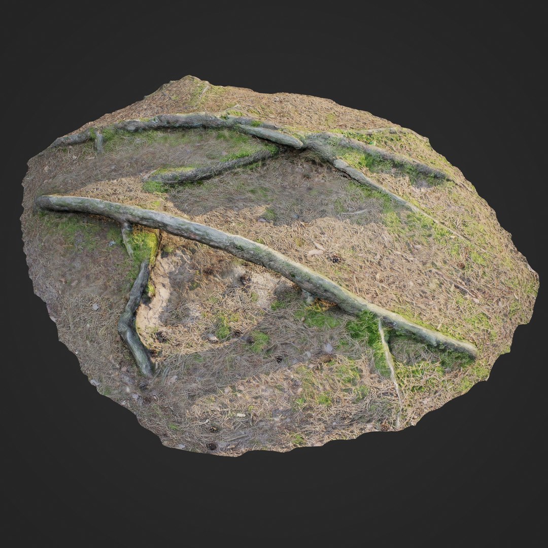 3D scanned nature forest roots https://p.turbosquid.com/ts-thumb/05/LDTQ3a/aMkQZVla/nature_forest_roots_006_render_001/jpg/1502227795/1920x1080/fit_q87/5c4eee0cd01e132b78aafe07e0f71e443b820c14/nature_forest_roots_006_render_001.jpg