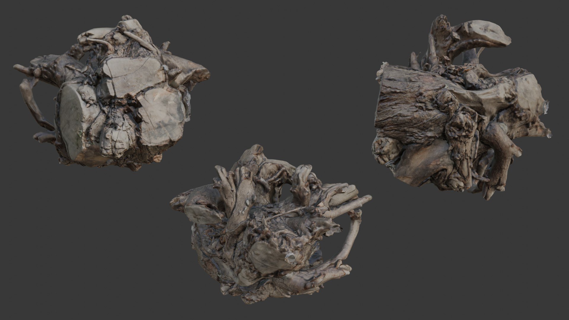 Complex Root Ball Cluster 3D Scan Model - TurboSquid 2422685