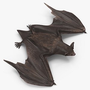 Black Bat Pose 3D model