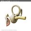 EAR MR