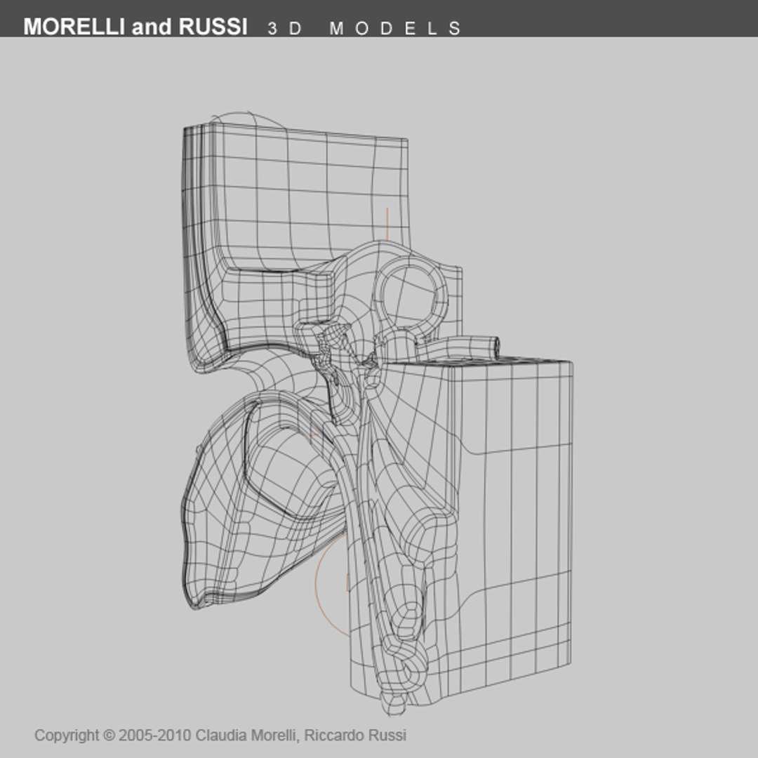 3ds max internal ear https://p.turbosquid.com/ts-thumb/05/VNpPvc/Oitopeaw/earts600wire03/png/1295092650/1920x1080/fit_q87/318617cae2630ce551894703f65cdc6886f0412a/earts600wire03.jpg
