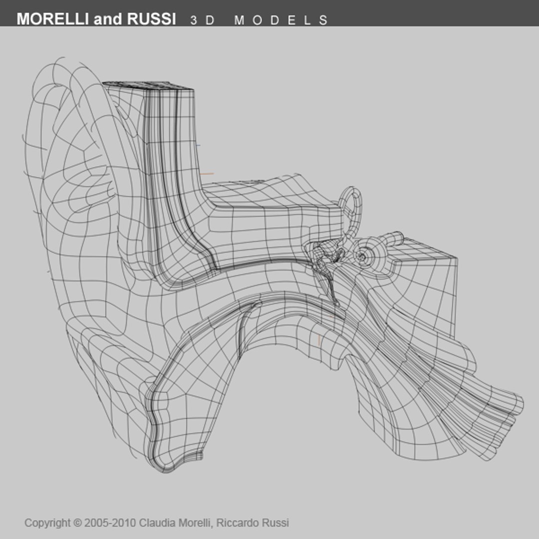 3ds max internal ear https://p.turbosquid.com/ts-thumb/05/VNpPvc/WjQaxeKZ/earts600wire01/png/1295092650/1920x1080/fit_q87/9d8046f72b8ebf6915b0f26d21e230642640ece4/earts600wire01.jpg