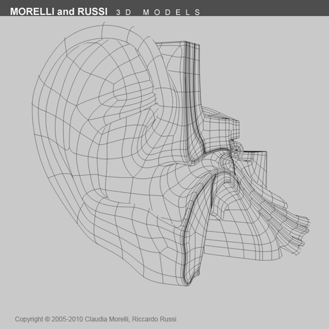 3ds max internal ear https://p.turbosquid.com/ts-thumb/05/VNpPvc/g71Uxugu/earts600wire04/png/1295092650/1920x1080/fit_q87/2ce58d81c966032d3ee931eca655487b0f49fa8f/earts600wire04.jpg
