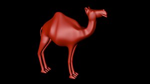 camel 3D model