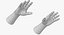 Customizable Rigged Low Poly Hands