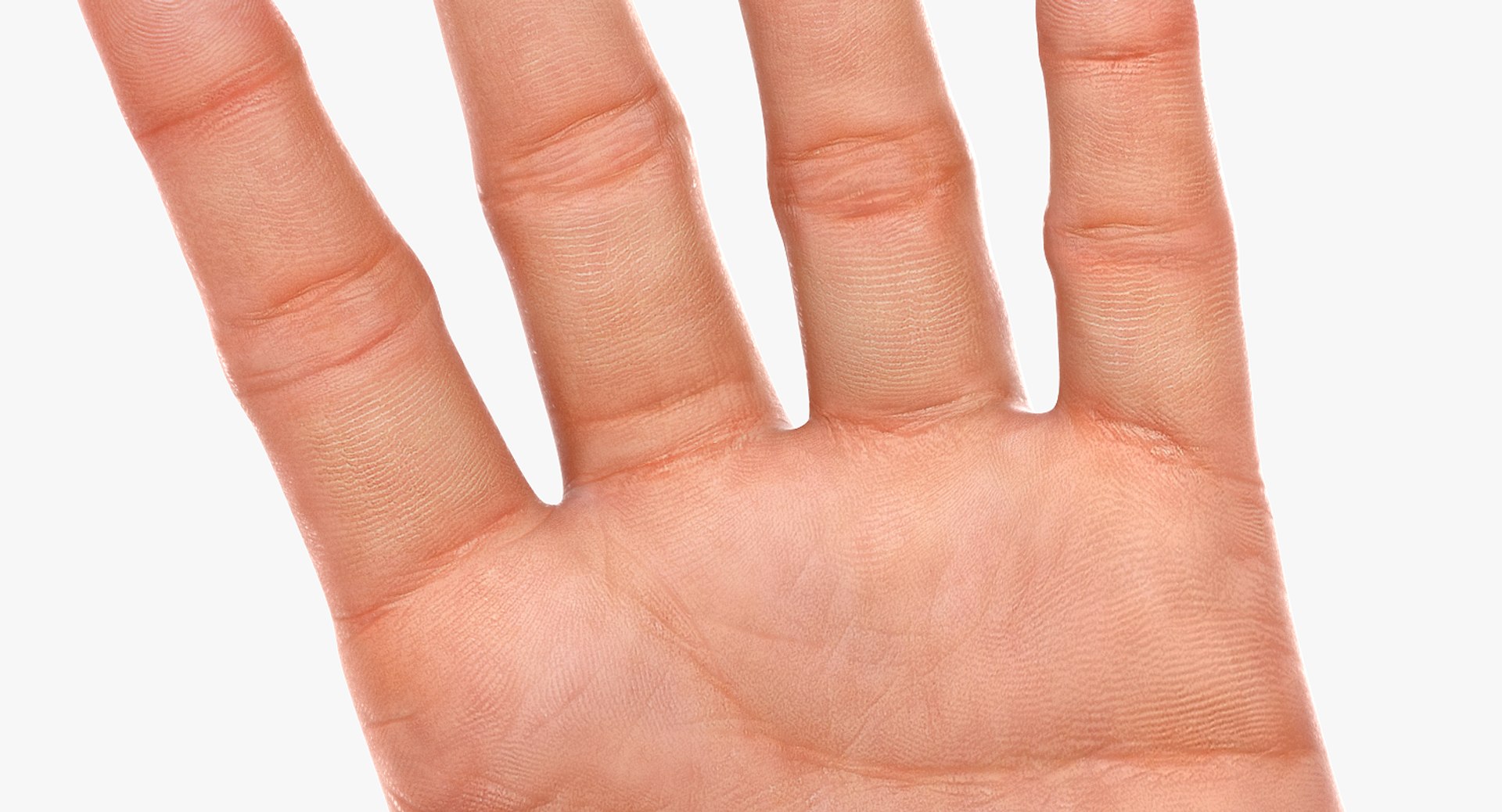 3D model hands rig https://p.turbosquid.com/ts-thumb/05/gvnaS7/oKv7L0eZ/customizableriggedlowpolyhands8/png/1523624038/1920x1080/fit_q87/bd35440ceb56d8d3fbb8fd8b3bcca7968c055c60/customizableriggedlowpolyhands8.jpg