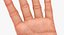 Customizable Rigged Low Poly Hands