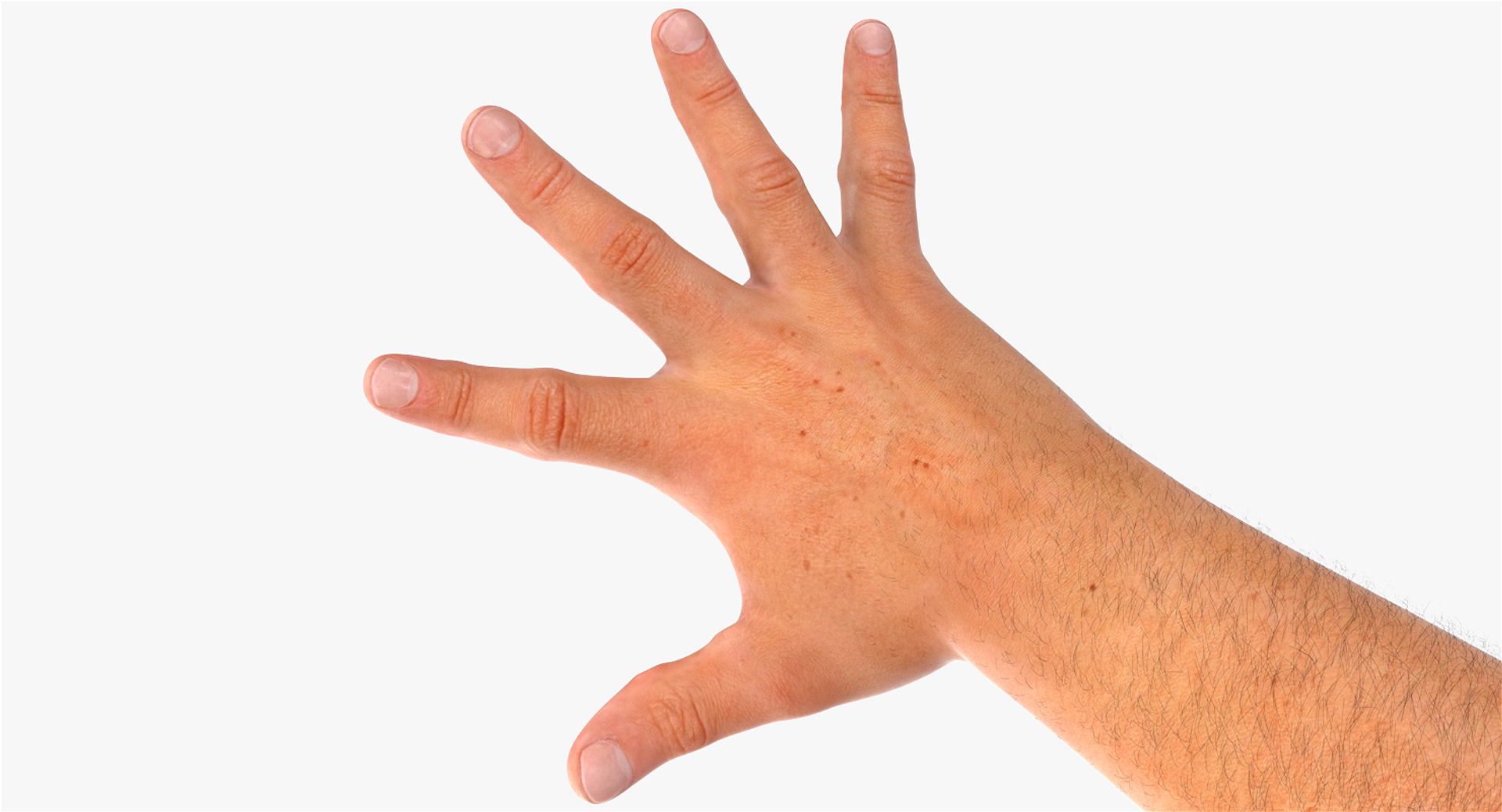 3D model hands rig https://p.turbosquid.com/ts-thumb/05/gvnaS7/vdIcT834/customizableriggedlowpolyhandsspreadb/png/1523623756/1920x1080/turn_fit_q99/4a1ea545dfb78a08362cf261a96aa4b1efc505cc/customizableriggedlowpolyhandsspreadb-1.jpg
