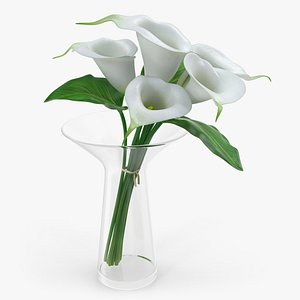 calla lilies bouquet glass vase 3D