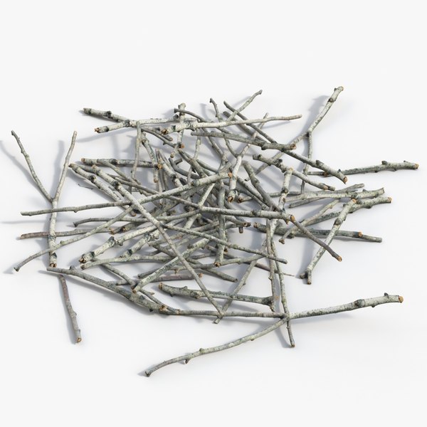 3D realistic branch 02 model