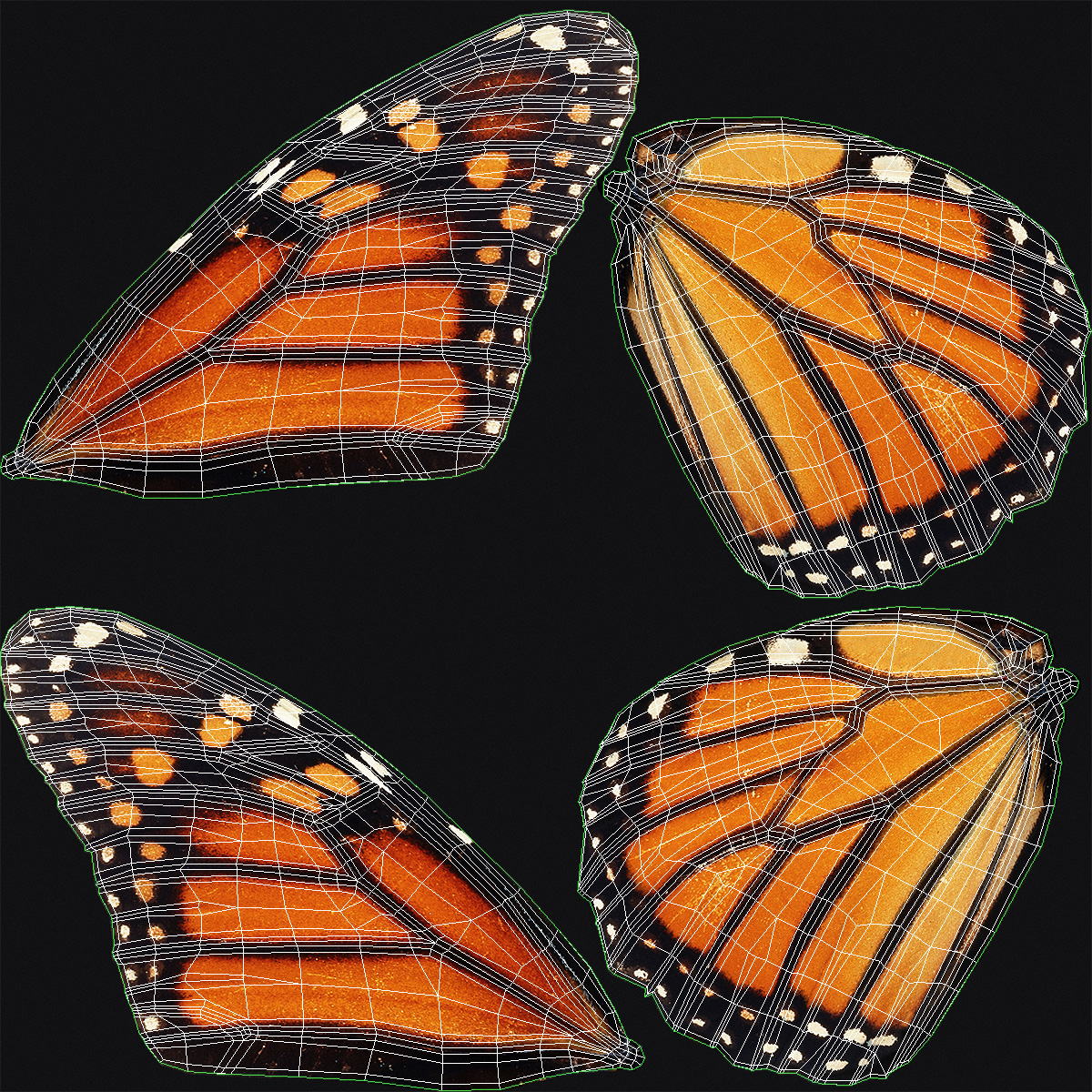 modelo 3d Texturas PBR 8K montadas con mariposa monarca - TurboSquid ...
