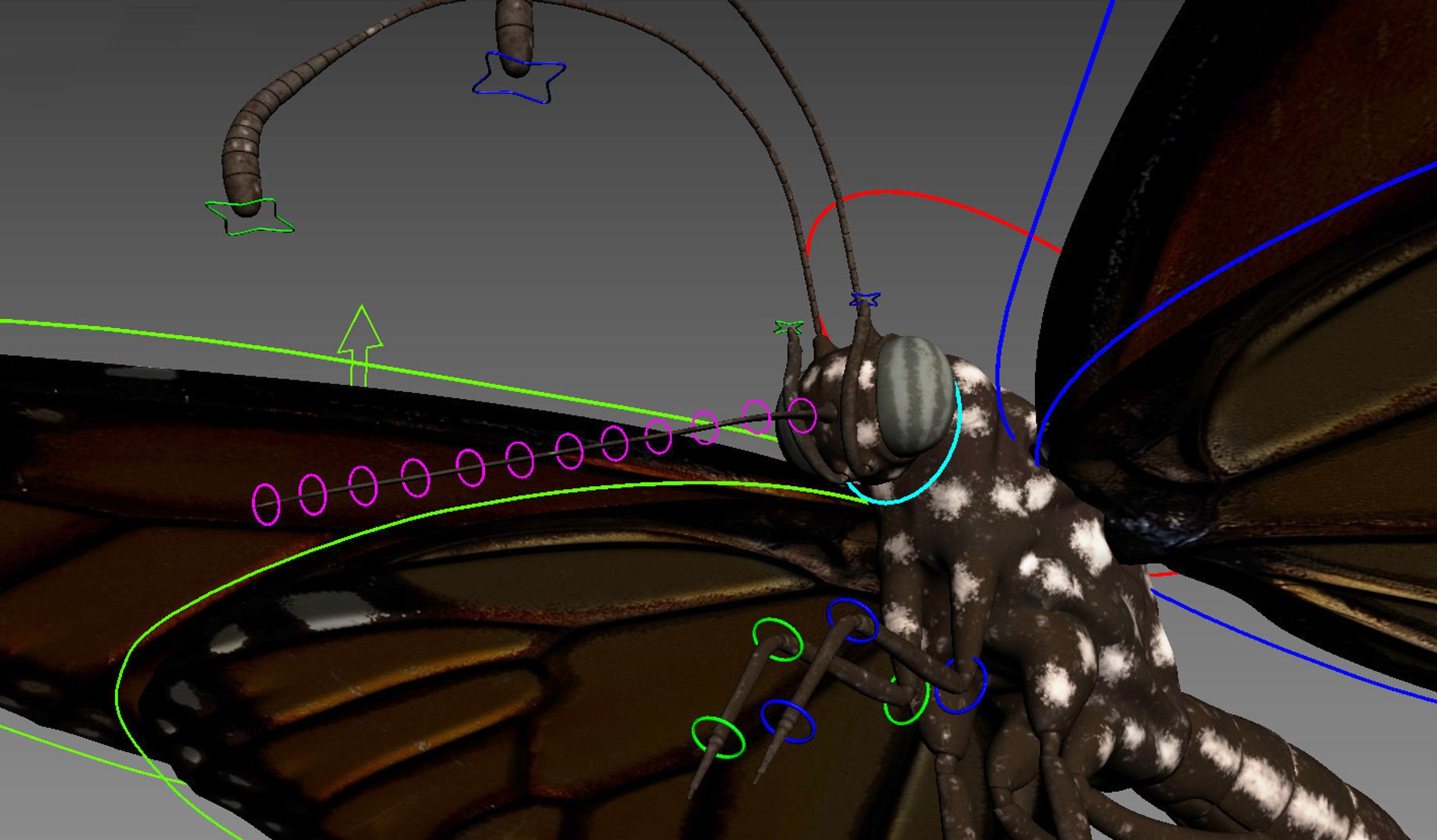 3D Monarch Butterfly Rigged 8K PBR Textures - TurboSquid 2122892