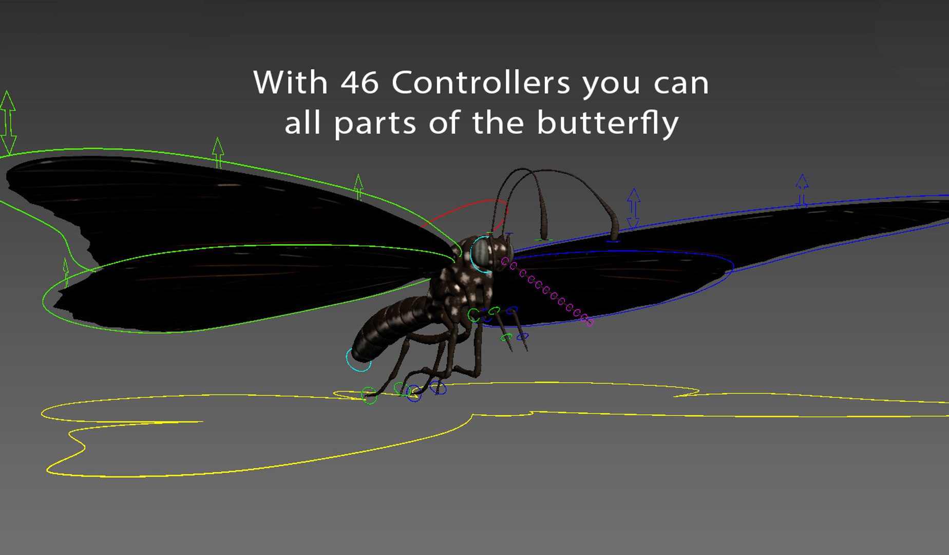 3D Monarch Butterfly Rigged 8K PBR Textures https://p.turbosquid.com/ts-thumb/06/1HuSt8/My/monarch_rig1/jpg/1694269114/1920x1080/fit_q87/791e0a3001b81914d2da194ac4e65b0d596d50d9/monarch_rig1.jpg