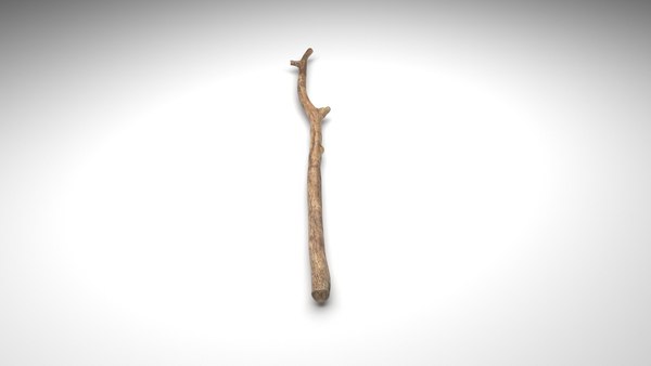 Galho de árvore Modelo 3D - TurboSquid 1867620