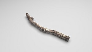 Tree Branch 3D model