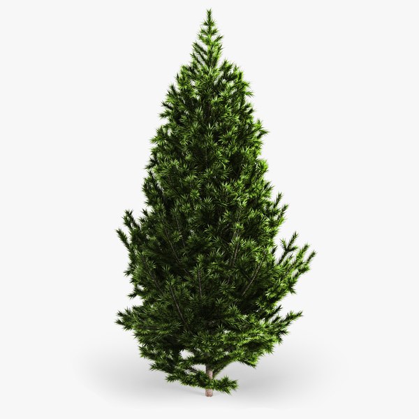 3d model fir tree