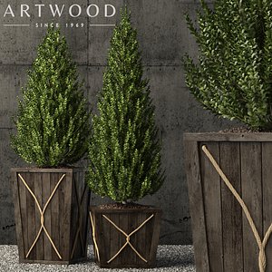3D plants 64 model