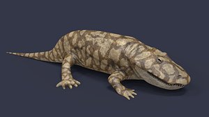 Eryops megacephalus 3D model
