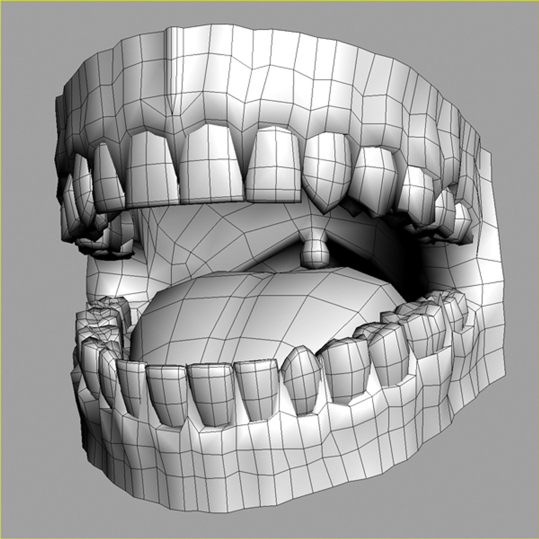Модель полости рта. Моделирование челюсти. 3d моделирование зубов. Трехмерная модель зубов.